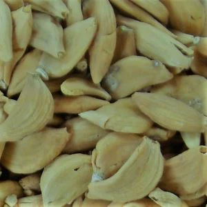 Jinxiang Organic Garlic a câștigat un alt premiu