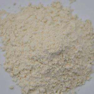 Pur și simplu pudră de usturoi organic